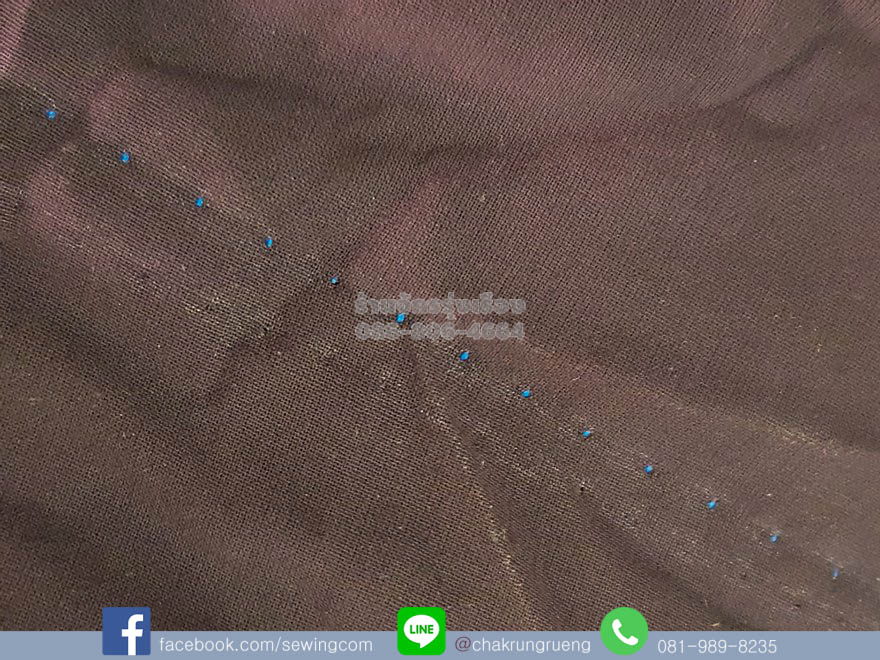 ตัวอย่างตะเข็บ